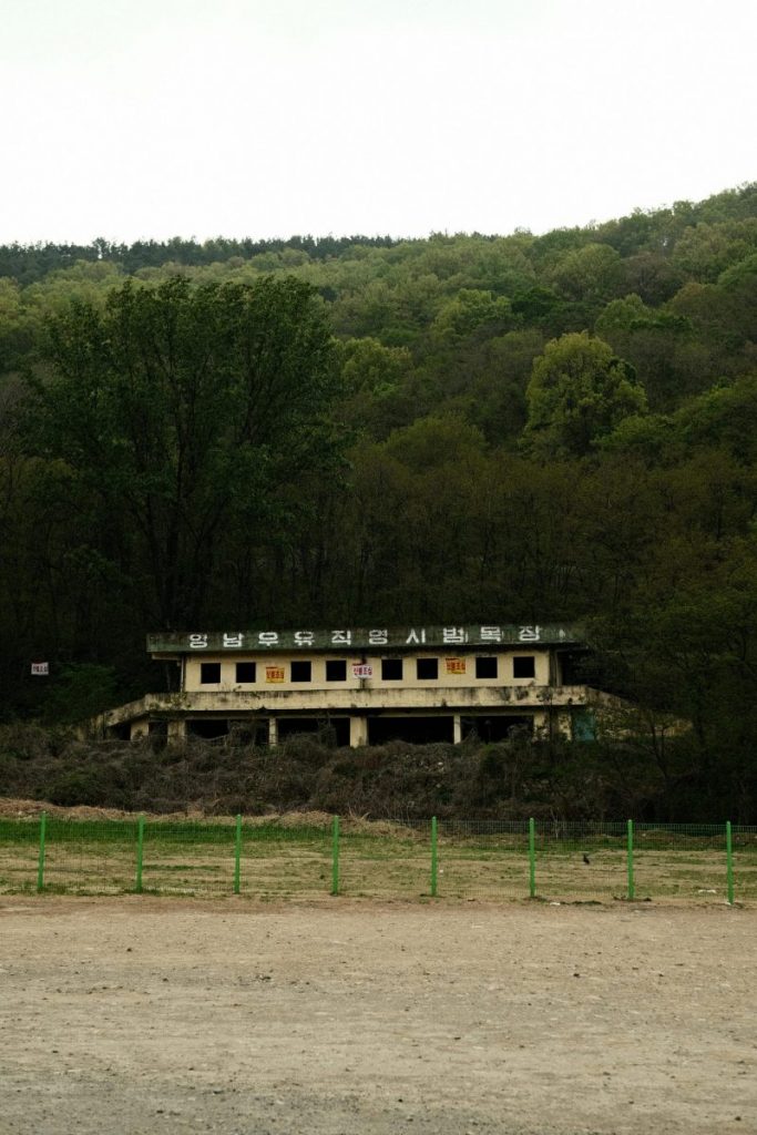 An old, overgrown building in a forest setting with surrounding greenery.