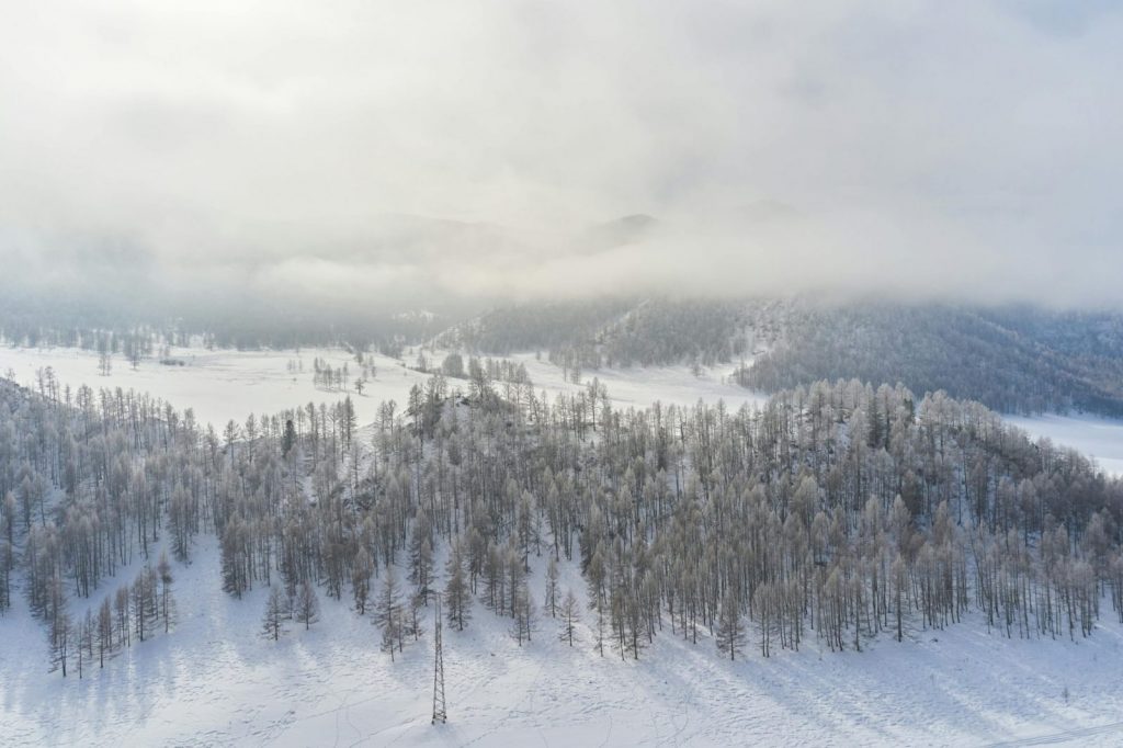 Picturesque drone view of coniferous forest covered snow located against cloudy sky in sunny winter day